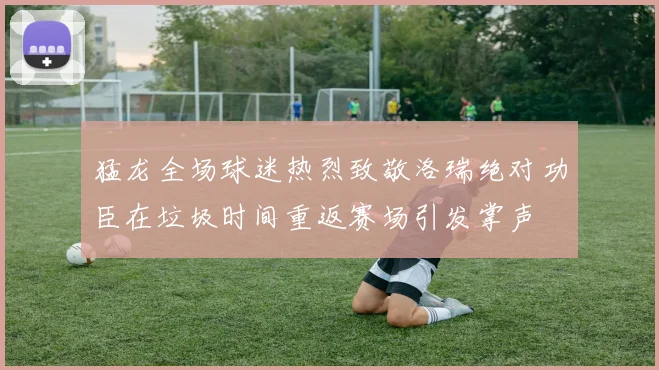 猛龙全场球迷热烈致敬洛瑞绝对功臣在垃圾时间重返赛场引发掌声